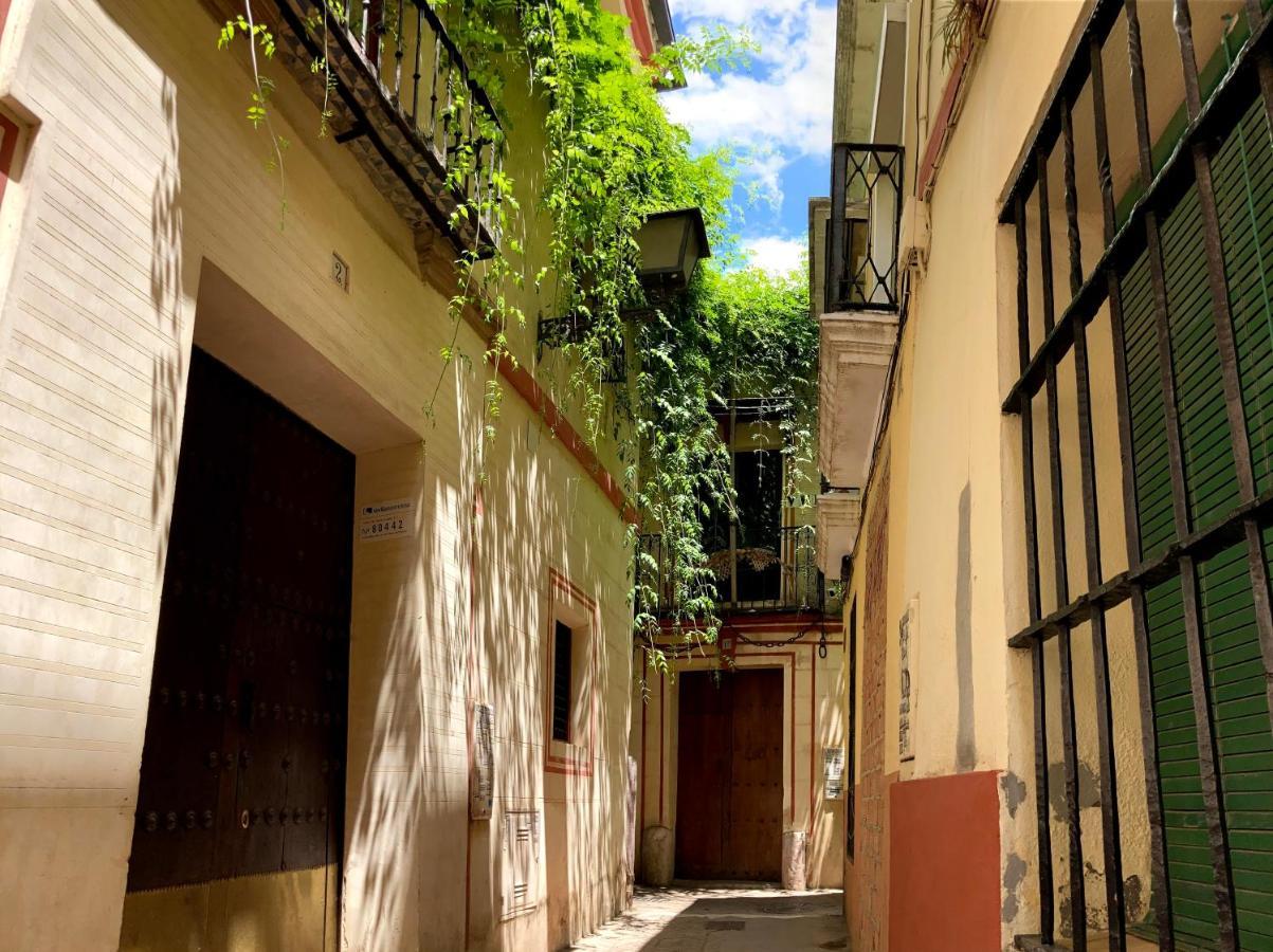 Acogedor Apt 8Pax 4Bdr 2Bth- Cozyhomesevilla2 Εξωτερικό φωτογραφία